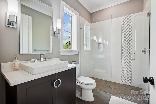 bathroom with a shower stall, toilet, and vanity