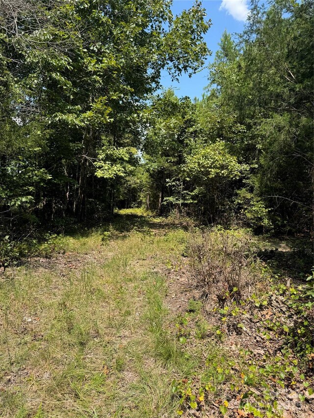 000 Daystar Rd Unit 4, Lancaster, SC 29720 - photo 11