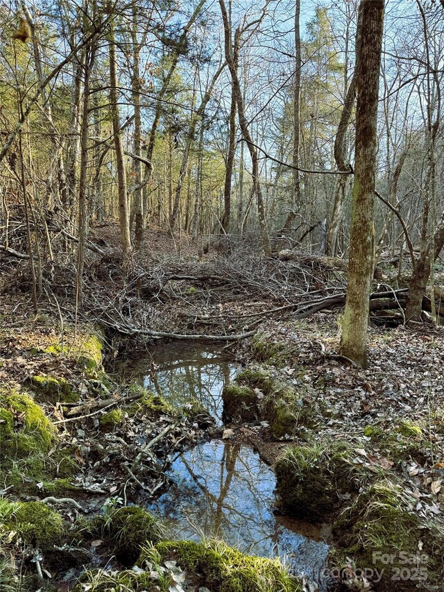 000 Daystar Rd Unit 4, Lancaster, SC 29720 - photo 22