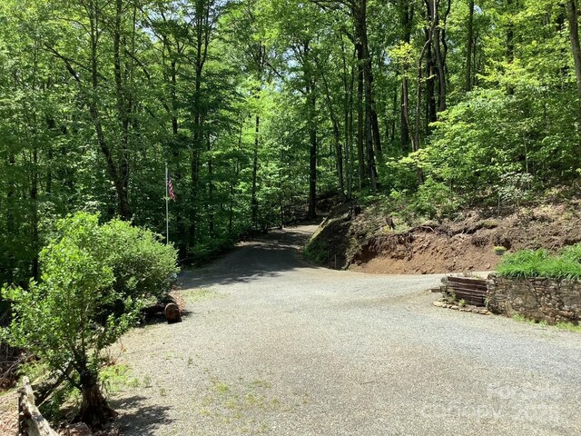 124 Baconton Cv, Waynesville, NC 28786 - photo 3