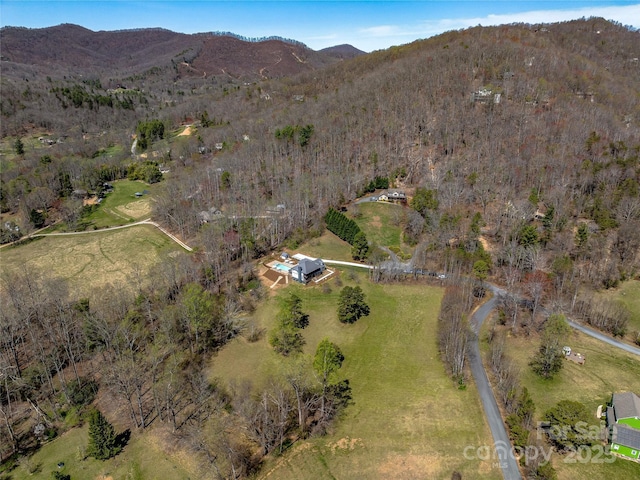 birds eye view of property featuring a mountain view