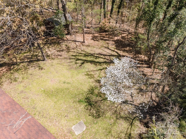 340 Sardis Rd N, Charlotte, NC 28270 - drone / aerial view