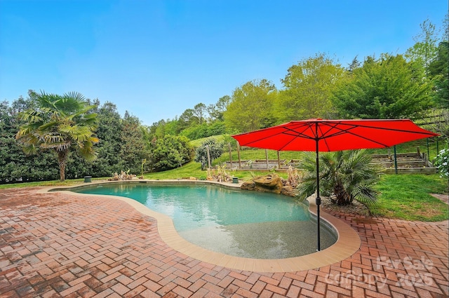 pool featuring a patio area