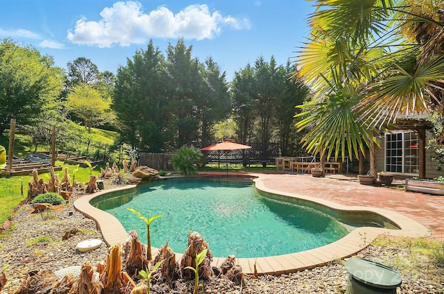 view of swimming pool with a patio, a fenced backyard, and a fenced in pool