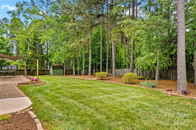 4159 Isle Of Pines Dr, Denver, NC 28037 - view of yard with a storage unit, an outdoor structure, and a patio