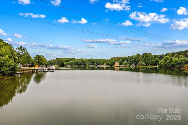 4159 Isle Of Pines Dr, Denver, NC 28037 - water view featuring a forest