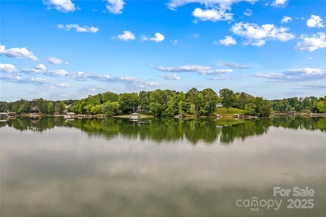 4159 Isle Of Pines Dr, Denver, NC 28037 - water view with a heavily wooded area
