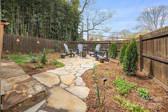 view of yard with a patio and a fenced backyard