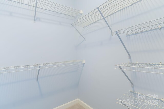 1000 Olde Eastwood Village Blvd Unit 307, Asheville, NC 28803 - view of spacious closet