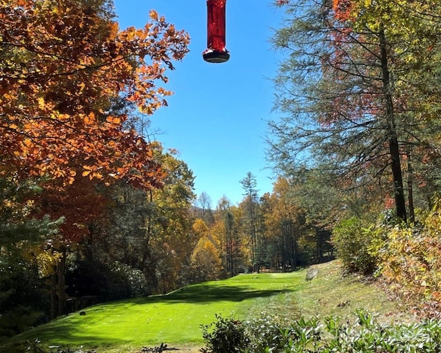 view of property's community featuring view of golf course and a yard