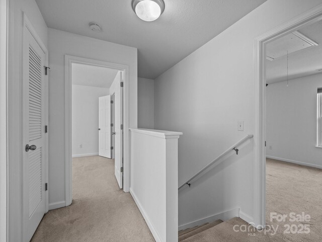 107 Alpine Ridge Dr, Asheville, NC 28803 - photo 13