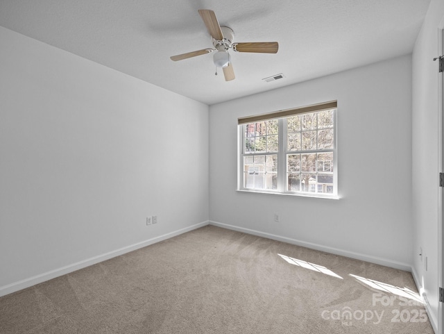 107 Alpine Ridge Dr, Asheville, NC 28803 - photo 18