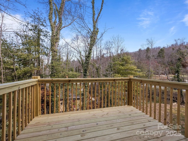 107 Alpine Ridge Dr, Asheville, NC 28803 - photo 24