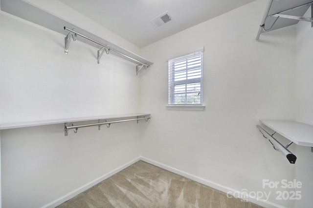 14256 Drake Watch Ln, Charlotte, NC 28262 - photo 24