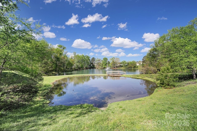 14256 Drake Watch Ln, Charlotte, NC 28262 - photo 36