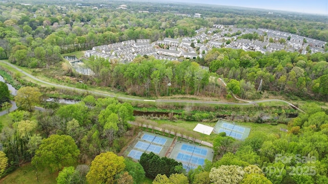 bird's eye view