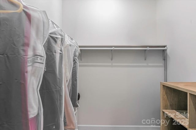 17143 Red Feather Dr, Charlotte, NC 28277 - view of walk in closet