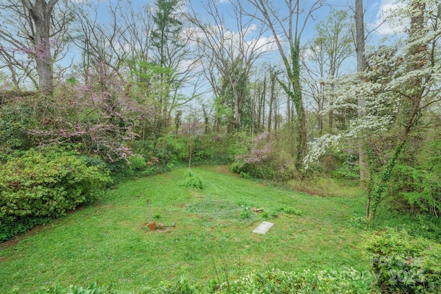 431 Sullivan Rd, Statesville, NC 28677 - view of green lawn