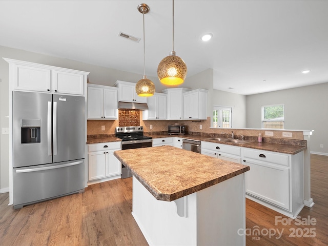 113 Devynn Ridge Ct, Mount Holly, NC 28120 - kitchen with a sink, stainless steel appliances, under cabinet range hood, a peninsula, and wood finished floors