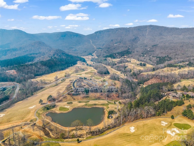 birds eye view of property with a water and mountain view