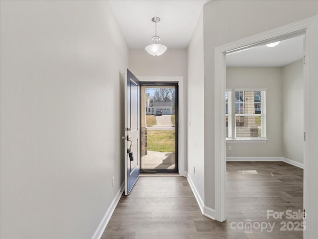 foyer entrance featuring wood finished floors, baseboards, and a wealth of natural light