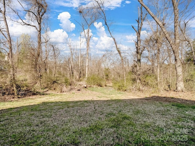 view of yard with a view of trees