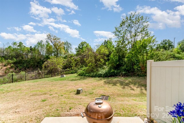 1030 Archibald Ave, Fort Mill, SC 29708 - photo 34