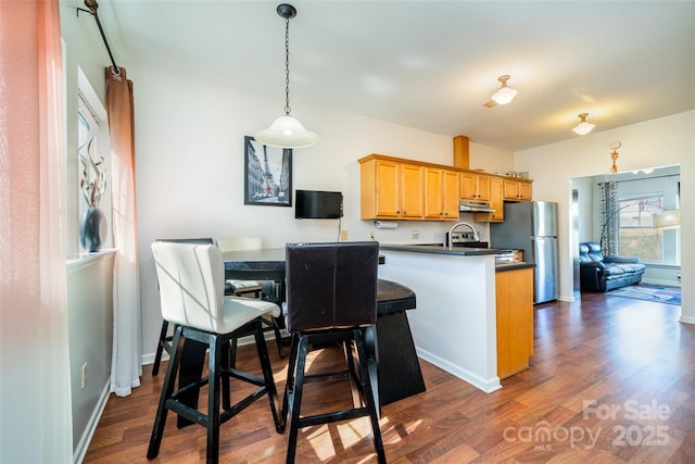kitchen featuring a peninsula, under cabinet range hood, stainless steel appliances, dark countertops, and dark wood-type flooring