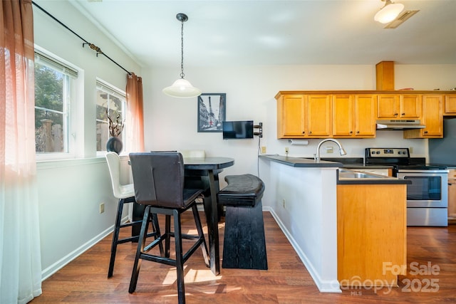 kitchen with a sink, stainless steel electric range, dark wood finished floors, under cabinet range hood, and dark countertops