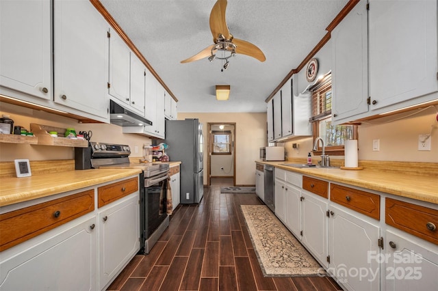 266 Asheland Dr, Ellenboro, NC 28040 - kitchen with wood finish floors, a ceiling fan, under cabinet range hood, appliances with stainless steel finishes, and a sink