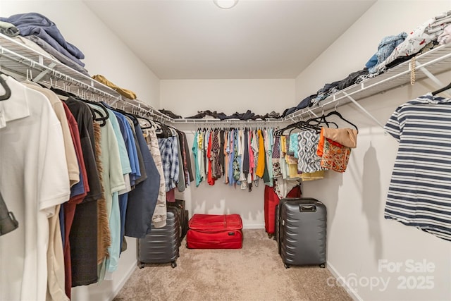 spacious closet with carpet