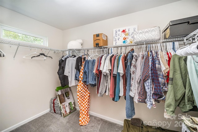 walk in closet featuring carpet
