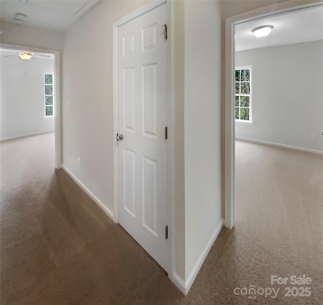 3155 Golden Dale Ln, Charlotte, NC 28262 - photo 15