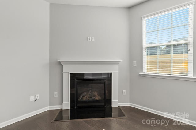interior details with baseboards, a fireplace with flush hearth, and wood finished floors