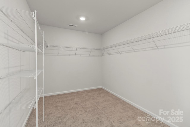 spacious closet featuring visible vents and carpet