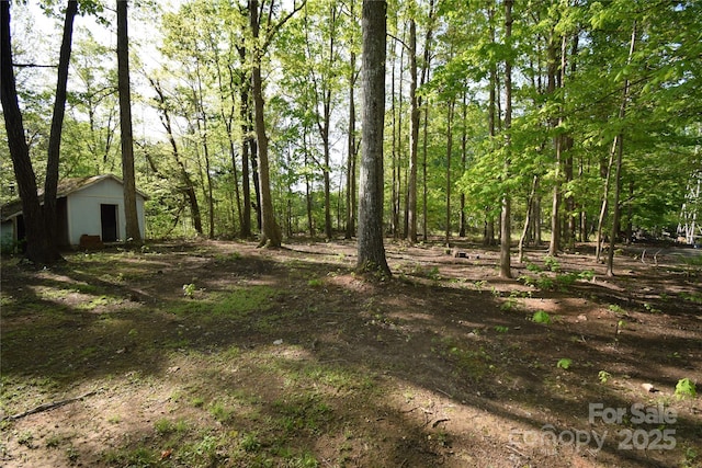 121 Silver Fox Ct, Mount Holly, NC 28120 - view of yard featuring an outdoor structure and a view of trees