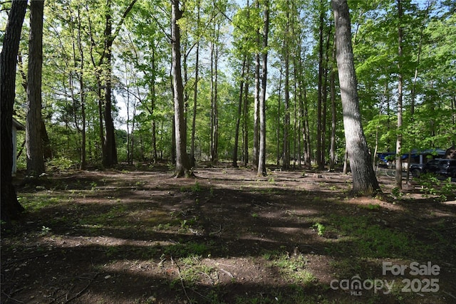 121 Silver Fox Ct, Mount Holly, NC 28120 - view of landscape