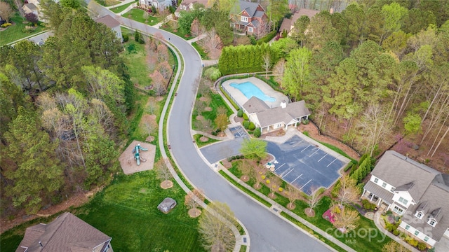 bird's eye view