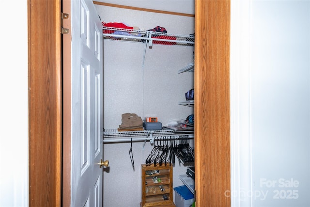 27 Venice Pl, Canton, NC 28716 - view of closet