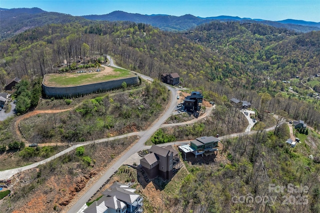 179 Serenity Ridge Trl, Asheville, NC 28804 - aerial view of property's location with a forest and mountains
