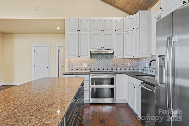 179 Serenity Ridge Trl, Asheville, NC 28804 - kitchen with stainless steel appliances, a sink, under cabinet range hood, dark wood finished floors, and white cabinets