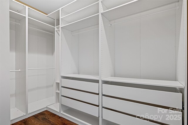 179 Serenity Ridge Trl, Asheville, NC 28804 - spacious closet with dark wood-style floors