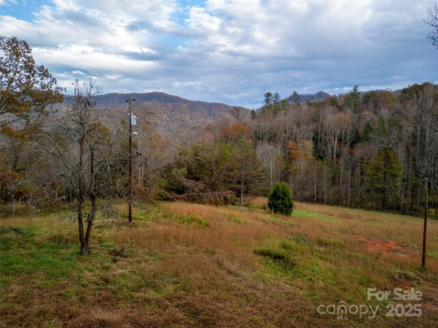 514 Davistown Church Rd, Old Fort, NC 28762
