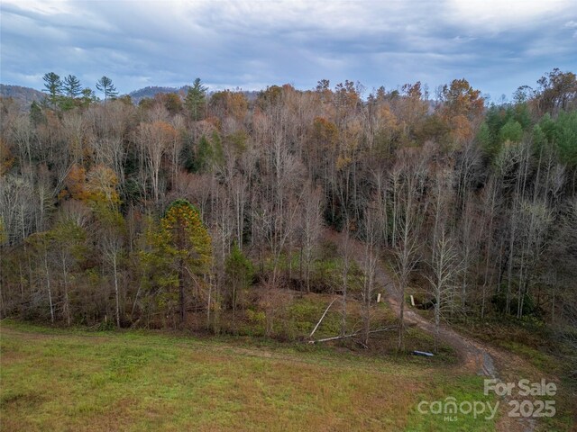 514 Davistown Church Rd, Old Fort, NC 28762