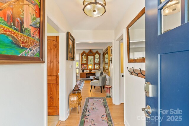 2 Bevlyn Dr, Asheville, NC 28803 - corridor featuring light wood finished floors