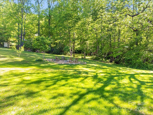 view of green lawn