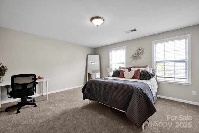 704 Fresia Dr, Tega Cay, SC 29708 - photo 24