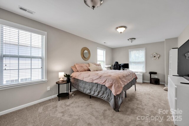 704 Fresia Dr, Tega Cay, SC 29708 - photo 27