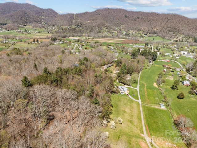 bird's eye view with a mountain view
