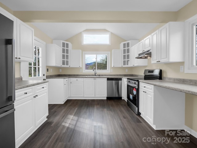 kitchen featuring a healthy amount of sunlight, under cabinet range hood, a sink, and stainless steel appliances